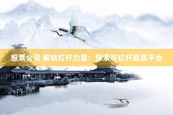 股票公司 解锁杠杆力量：探索可杠杆股票平台
