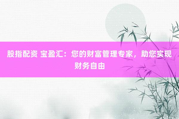 股指配资 宝盈汇：您的财富管理专家，助您实现财务自由
