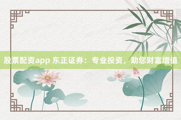 股票配资app 东正证券：专业投资，助您财富增值