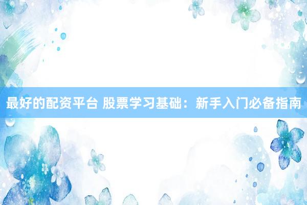 最好的配资平台 股票学习基础：新手入门必备指南