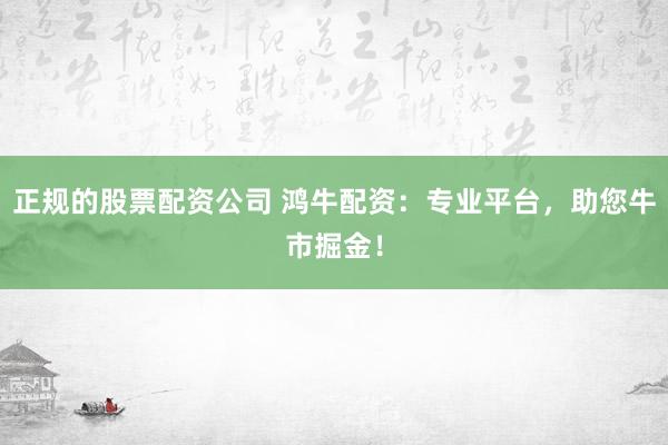 正规的股票配资公司 鸿牛配资：专业平台，助您牛市掘金！