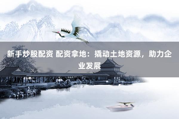 新手炒股配资 配资拿地：撬动土地资源，助力企业发展