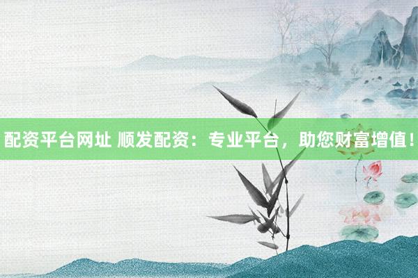 配资平台网址 顺发配资：专业平台，助您财富增值！