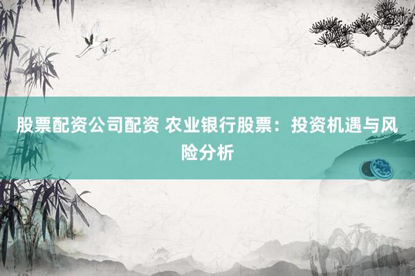 股票配资公司配资 农业银行股票：投资机遇与风险分析
