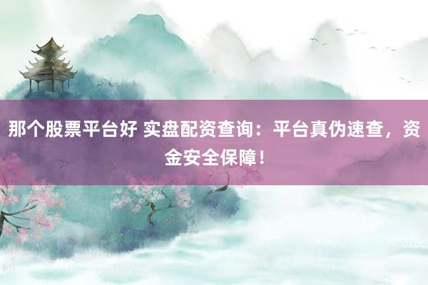 那个股票平台好 实盘配资查询：平台真伪速查，资金安全保障！