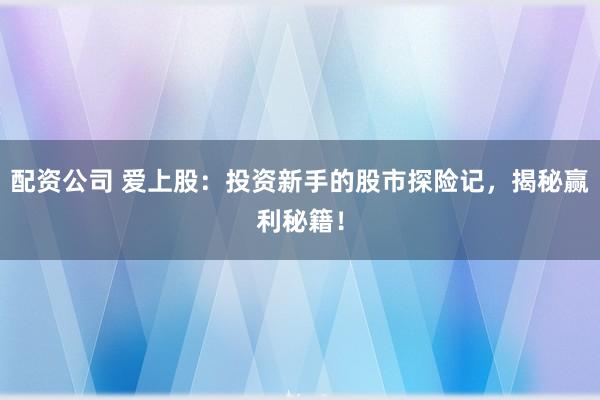 配资公司 爱上股：投资新手的股市探险记，揭秘赢利秘籍！