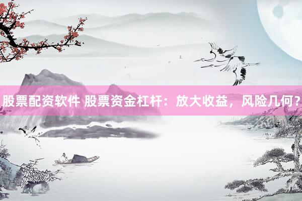 股票配资软件 股票资金杠杆：放大收益，风险几何？