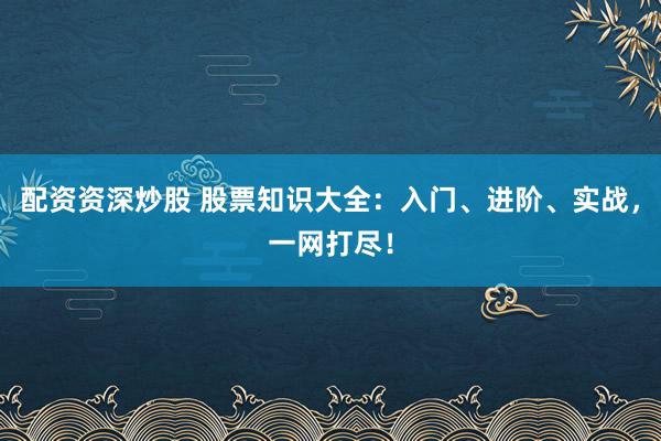 配资资深炒股 股票知识大全：入门、进阶、实战，一网打尽！