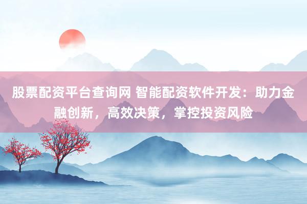 股票配资平台查询网 智能配资软件开发：助力金融创新，高效决策，掌控投资风险