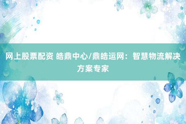 网上股票配资 皓鼎中心/鼎皓运网：智慧物流解决方案专家