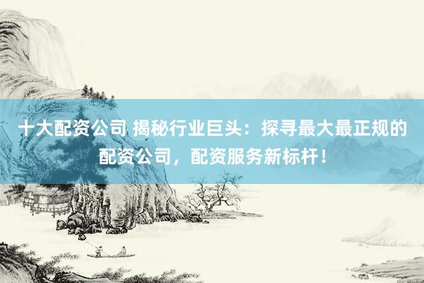 十大配资公司 揭秘行业巨头：探寻最大最正规的配资公司，配资服务新标杆！