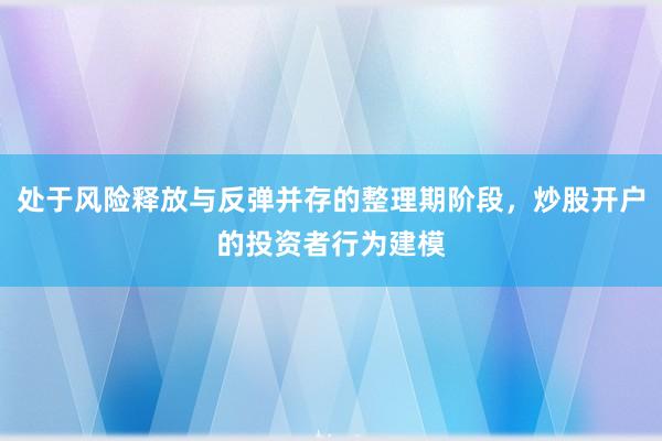 处于风险释放与反弹并存的整理期阶段，炒股开户的投资者行为建模