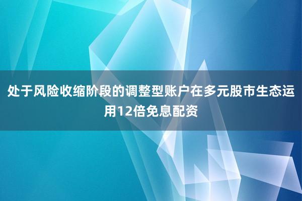 处于风险收缩阶段的调整型账户在多元股市生态运用12倍免息配资