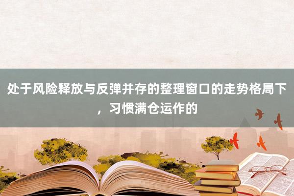 处于风险释放与反弹并存的整理窗口的走势格局下，习惯满仓运作的