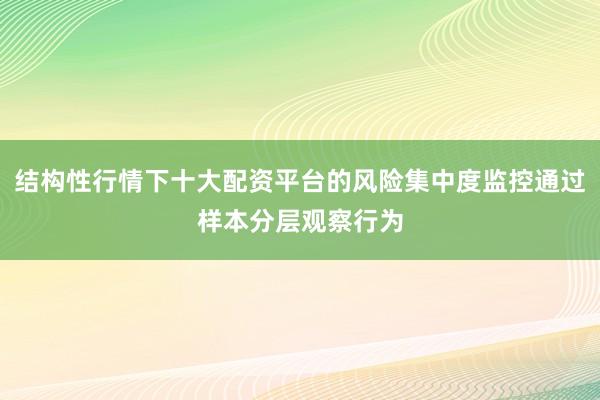 结构性行情下十大配资平台的风险集中度监控通过样本分层观察行为