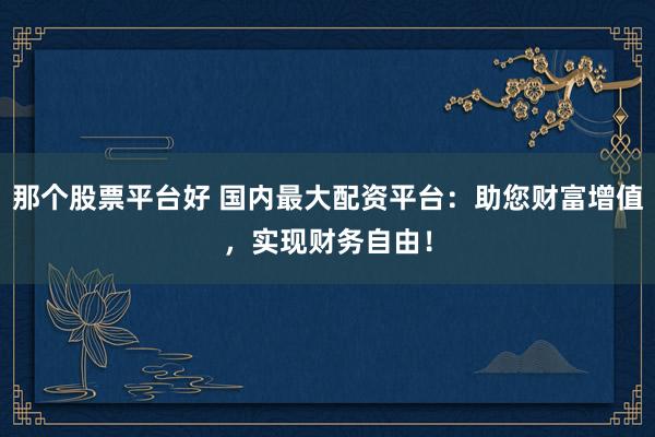 那个股票平台好 国内最大配资平台：助您财富增值，实现财务自由！